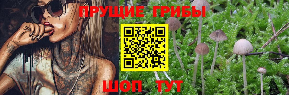 Иваново  Псилоцибиновые грибы прущие грибы  Вход с VPN 