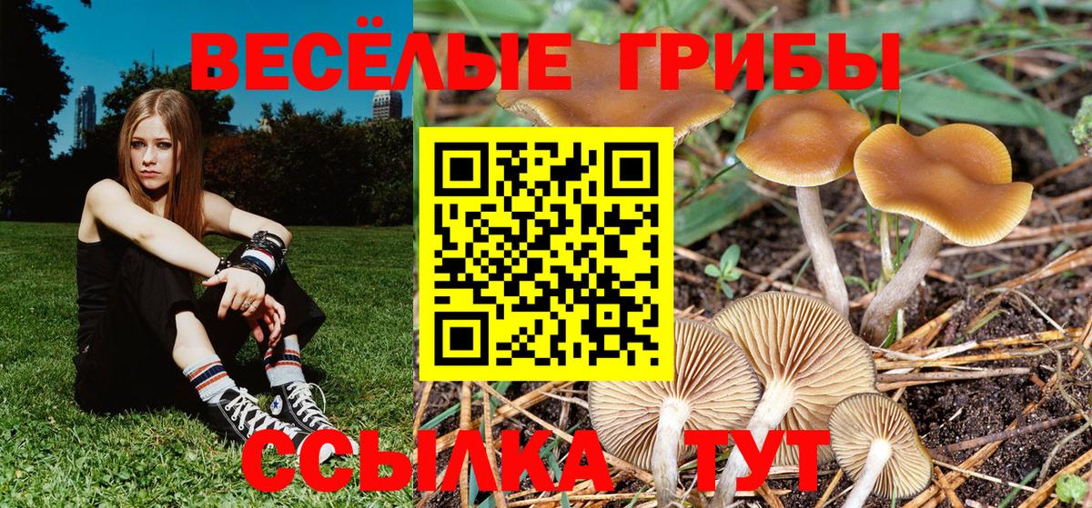 Псилоцибиновые грибы MAGIC MUSHROOMS Иваново
